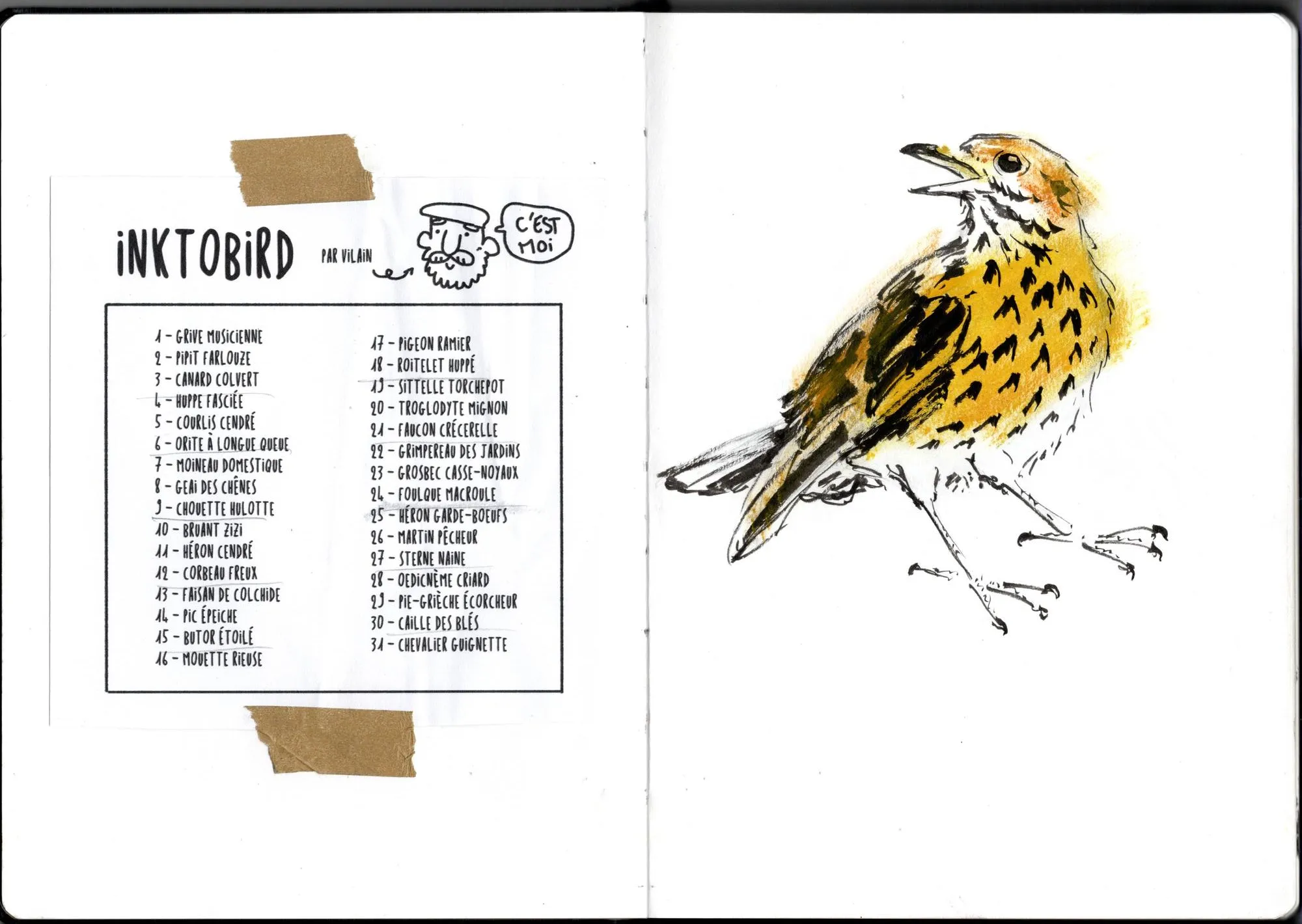 Double page de carnet. À gauche, la liste des oiseaux à dessiner. À droite, grive musicienne.