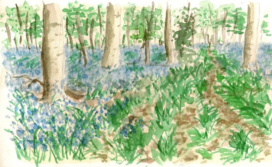 2009-05-08_jacinthes_aqua.jpg