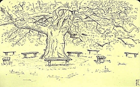 2010-08-09_lund_tree.jpg