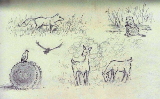 2010-10-04_animals_doodles.jpg