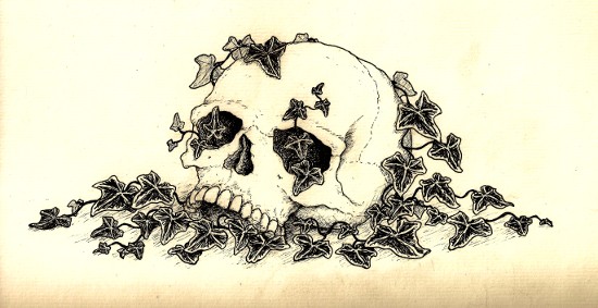 2011-10-20_vanitas.jpg
