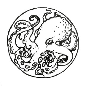 2014-08-07_octopus_lines.jpg