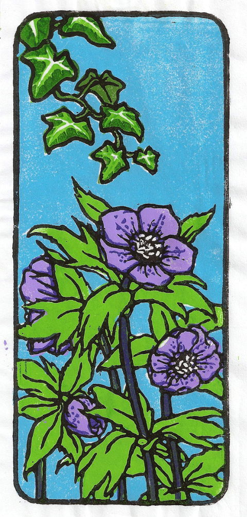 2015-01-16_hellebores.jpg