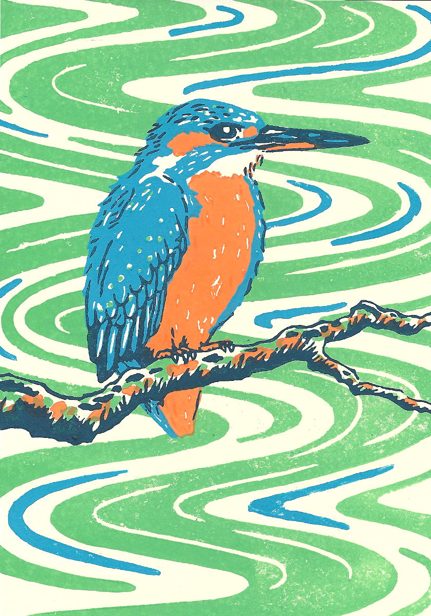 2018-01-15_kingfisher.jpg