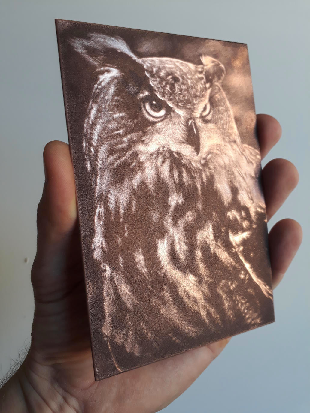 Photo d'une plaque de cuivre gravée avec la technique de la manière noire, représentant un hibou grand-duc