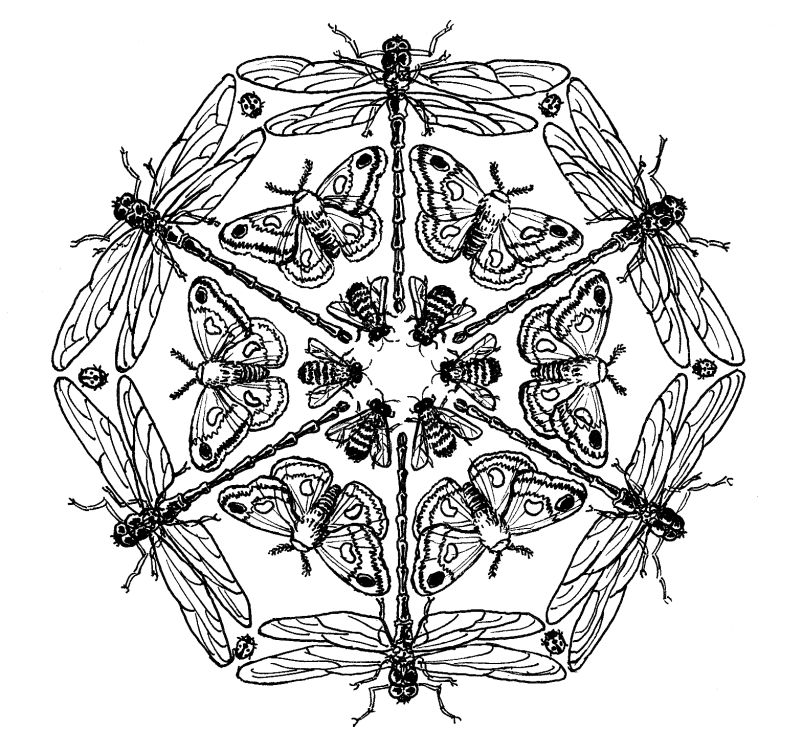 2014-02-27_mandala.jpg