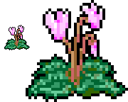 2015-06-17_pixelart_cyclamen.png