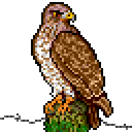 2019-10-05_buse.png, oct. 2019