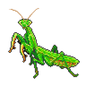 2019-10-05_mantis.png, oct. 2019
