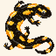 2019-10-05_salamandre.png, oct. 2019