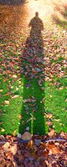 2008-10-22_paris_luxembourg_3.jpg