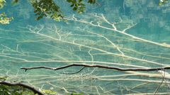 plitvice_2.jpg
