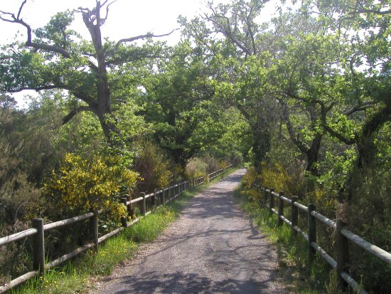 Chemin