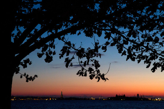 2011-02-14_NY2010_4.jpg