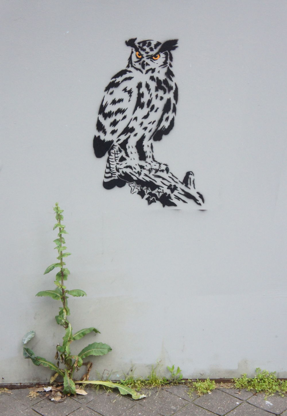 2016-06-10_owl_stencil_1.jpg